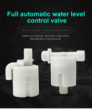 Load image into Gallery viewer, FALSE